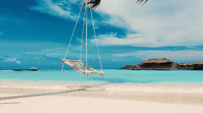 A Hammock Swing Hangs From A Palm Tree Over A Beach GIF