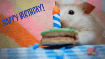 A Hamster Eating A Birthday Cake With A Candle And The Words Happy Birthday Behind It GIF