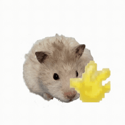 A Hamster Holding A Piece Of Cheese With The Words Hello Written Above It GIF