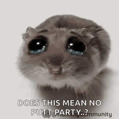 A Hamster Is Crying With Tears Coming Out Of Its Eyes And The Words `` Does This Mean No Putt Party ? '' GIF
