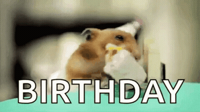 A Hamster Is Eating A Piece Of Cake With The Words `` Birthday '' Written Above It . GIF