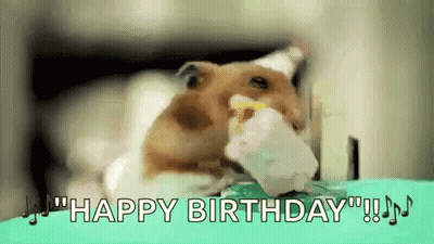 A Hamster Is Eating A Piece Of Cake With The Words `` Happy Birthday '' In The Background . GIF