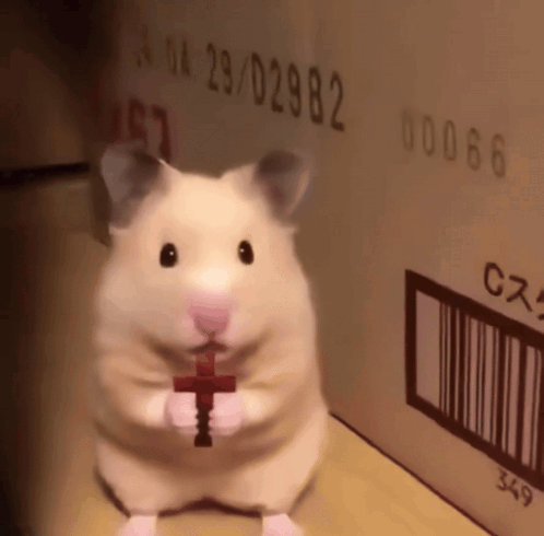 A Hamster Is Holding A Cross In Front Of A Cardboard Box With The Date 23/02982 GIF