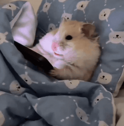 A Hamster Is Laying Under A Blue Blanket With White Cats On It GIF