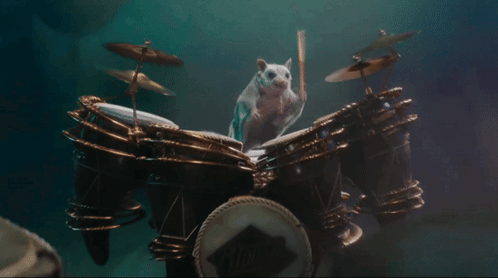 A Hamster Is Playing A Set Of Drums GIF