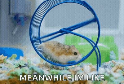 A Hamster Is Running In A Blue Hamster Wheel With The Words Meanwhile Im Like Below It GIF