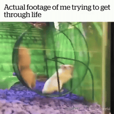 A Hamster Is Running In A Hamster Wheel With A Caption That Says ' Actual Footage Of Me Trying To Get Through Life ' GIF