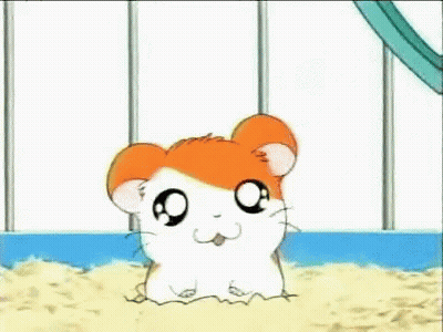 A Hamster Is Sitting In A Sandbox In A Cage Looking At The Camera . GIF