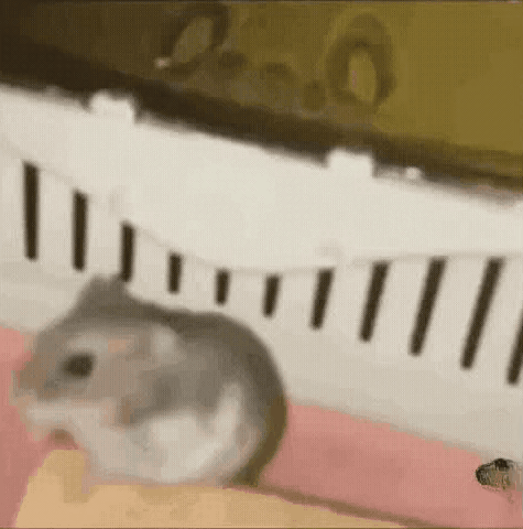 A Hamster Is Sitting In A White Cage On A Pink Surface . GIF
