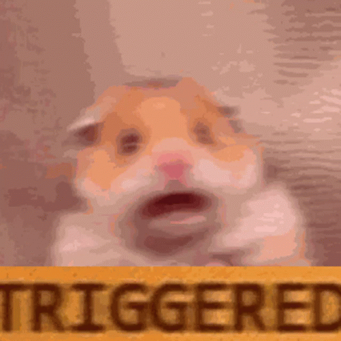 A Hamster Is Sitting Next To A Yellow Sign That Says Triggered . GIF