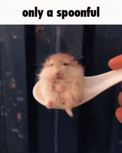 A Hamster Is Sitting On A White Spoon With The Words Only A Spoonful Above It GIF