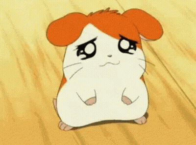 A Hamster Is Sitting On A Wooden Floor And Crying . GIF