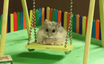 A Hamster Is Sitting On A Wooden Swing In A Toy Garden . GIF
