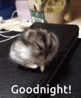 A Hamster Is Sleeping On A Black Wallet With The Words Goodnight GIF