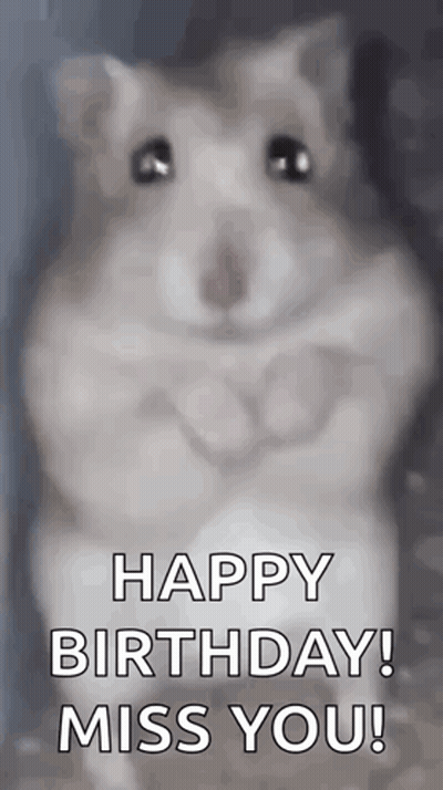 A Hamster Is Standing In Front Of A Glass Door And Says `` Happy Birthday ! Miss You ! '' GIF