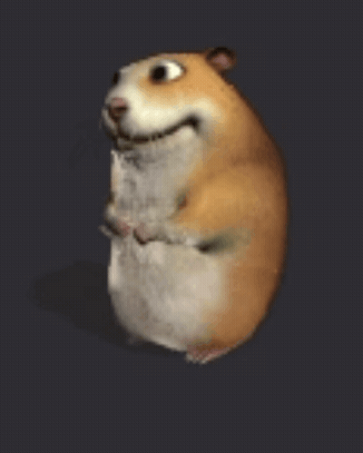 A Hamster Is Standing On Its Hind Legs And Looking At The Camera With Its Mouth Open . GIF