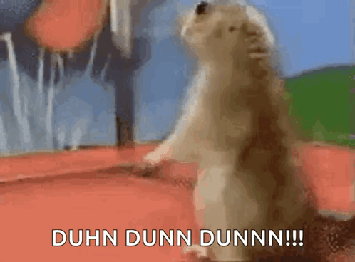 A Hamster Is Standing On Its Hind Legs And Saying Duhn Dunn Dunn !!! GIF