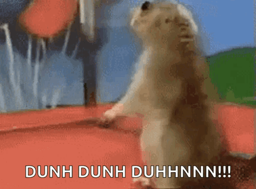A Hamster Is Standing On Its Hind Legs And Says Dunh Dunh Duhhnn !! GIF