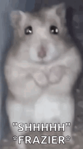 A Hamster Is Standing On Its Hind Legs With The Words `` Shhhh Frazier '' Written Above It . GIF
