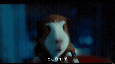 A Hamster Says Ok I 'M In In A Movie Scene GIF