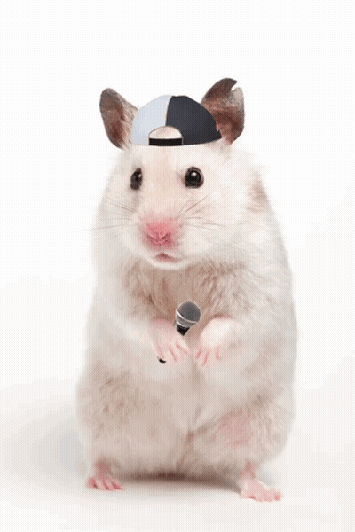 A Hamster Wearing A Hat Holds A Microphone GIF