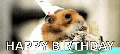 A Hamster Wearing A Party Hat Is Eating A Piece Of Cake With The Words Happy Birthday Behind It GIF