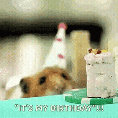 A Hamster Wearing A Party Hat Is Looking At A Small Cake . GIF