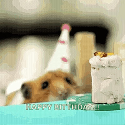 A Hamster Wearing A Party Hat Is Sitting Next To A Small Cake . GIF