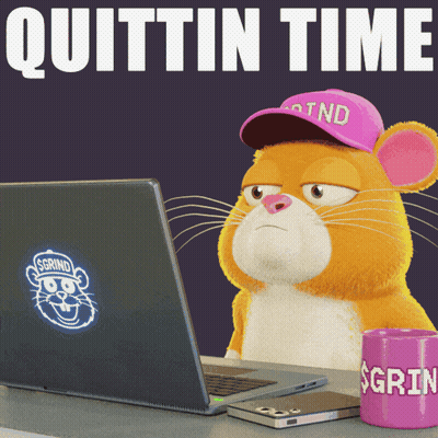 A Hamster Wearing A Pink Hat Is Sitting In Front Of A Laptop Computer GIF