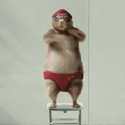 A Hamster Wearing A Red Swim Cap And Goggles Is Standing On A Stool . GIF