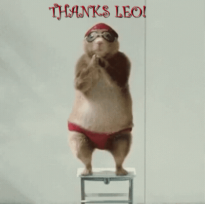 A Hamster Wearing A Swim Cap And Goggles Stands On A Stool With The Words Thanks Leo Above It GIF