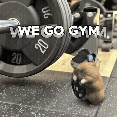 A Hamster Wearing Headphones Holds A Weight Plate In Front Of A Barbell With The Words We Go Gym On It GIF