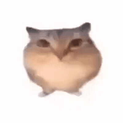 A Hamster With A Heart Shaped Face Is Standing On Its Hind Legs . GIF