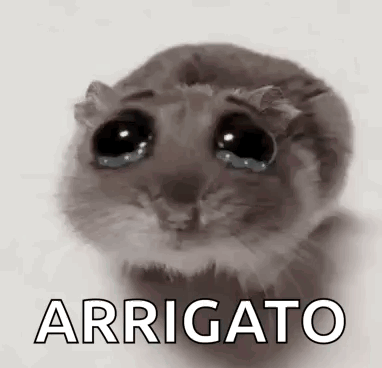 A Hamster With Tears In Its Eyes Is Sitting On A Table With The Word Arrigato Written Below It . GIF