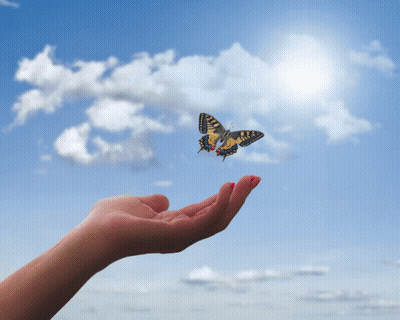 A Hand Holding A Butterfly In The Sky With Clouds GIF