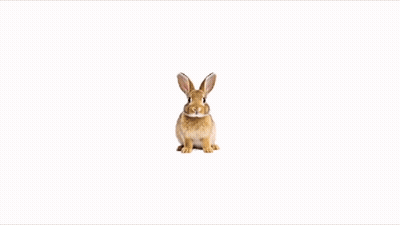 A Hand Is Holding A Small Rabbit With A Play Button On Its Thumb GIF