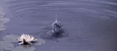 A Hand Is Sticking Out Of The Water Next To A Lotus Flower GIF