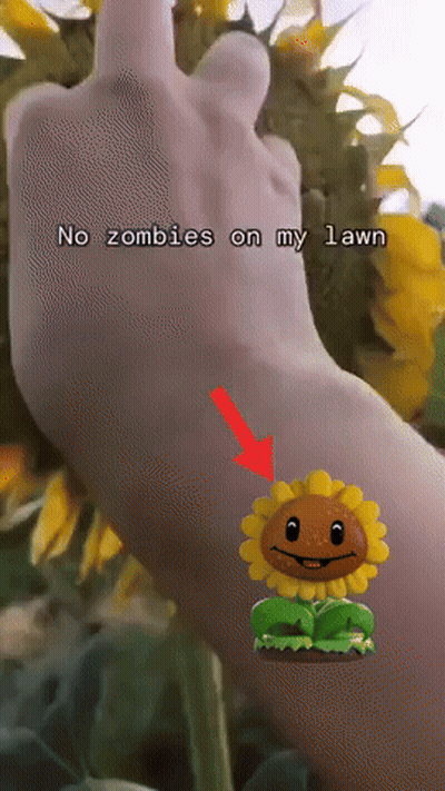 A Hand With A Sunflower And The Words No Zombies On My Lawn On It GIF