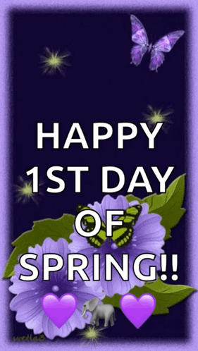 A Happy 1St Day Of Spring Message With Purple Flowers And Butterflies GIF
