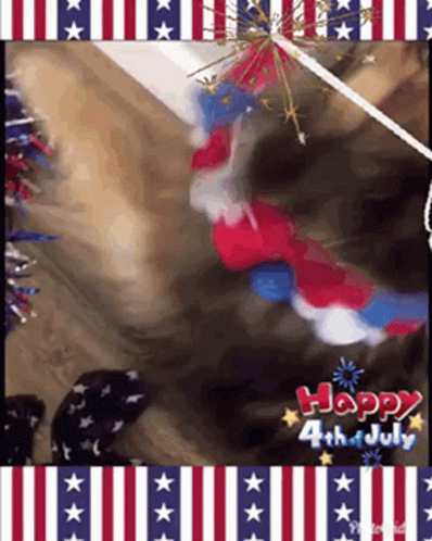 A Happy 4Th Of July Greeting Card With A Dog GIF