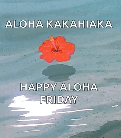 A Happy Aloha Friday Greeting Card With A Hibiscus Flower In The Water GIF