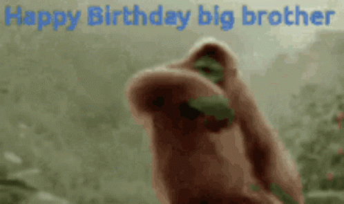 A Happy Birthday Big Brother Greeting Card With A Gorilla In The Background GIF