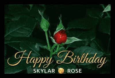 A Happy Birthday Card With A Red Rose On It GIF