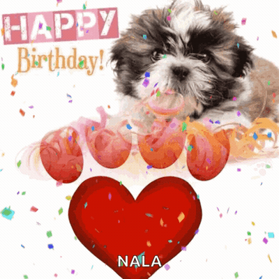A Happy Birthday Card With A Small Dog And A Red Heart GIF