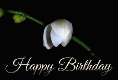A Happy Birthday Card With A White Orchid On A Black Background GIF