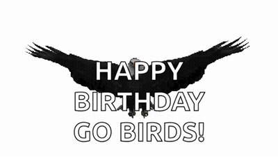 A Happy Birthday Go Birds Sign With A Black Bird GIF
