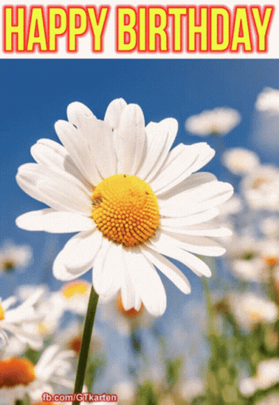 A Happy Birthday Greeting Card With A Daisy GIF