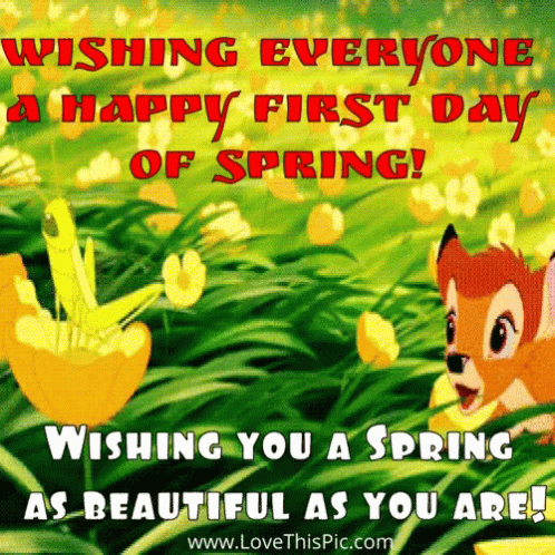 A Happy First Day Of Spring Greeting Card With A Fox And Flowers GIF