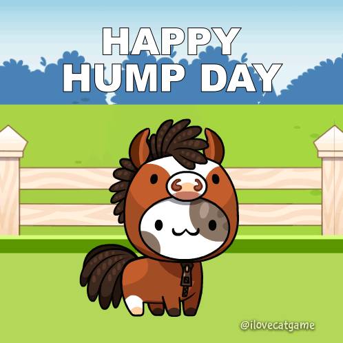 A Happy Hump Day Greeting Card With A Horse GIF