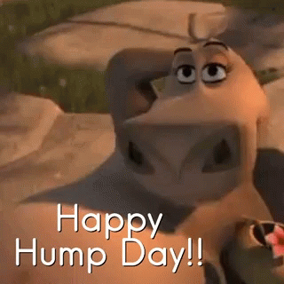 A Happy Hump Day Greeting With A Cartoon Cow GIF